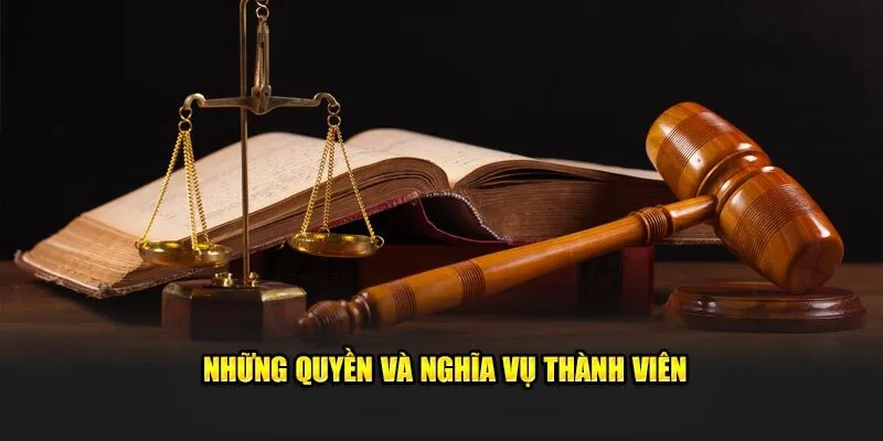Chi tiết điều kiện điều khoản rio66 khi tham gia cá cược